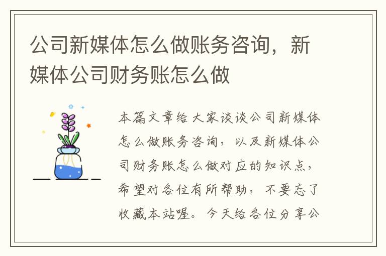 公司新媒体怎么做账务咨询，新媒体公司财务账怎么做