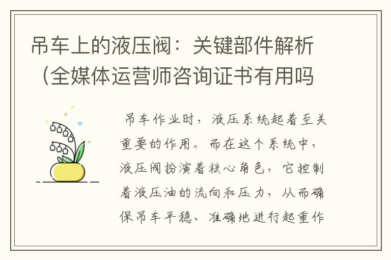 吊车上的液压阀：关键部件解析（全媒体运营师咨询证书有用吗知乎）