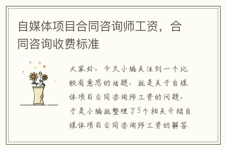 自媒体项目合同咨询师工资，合同咨询收费标准