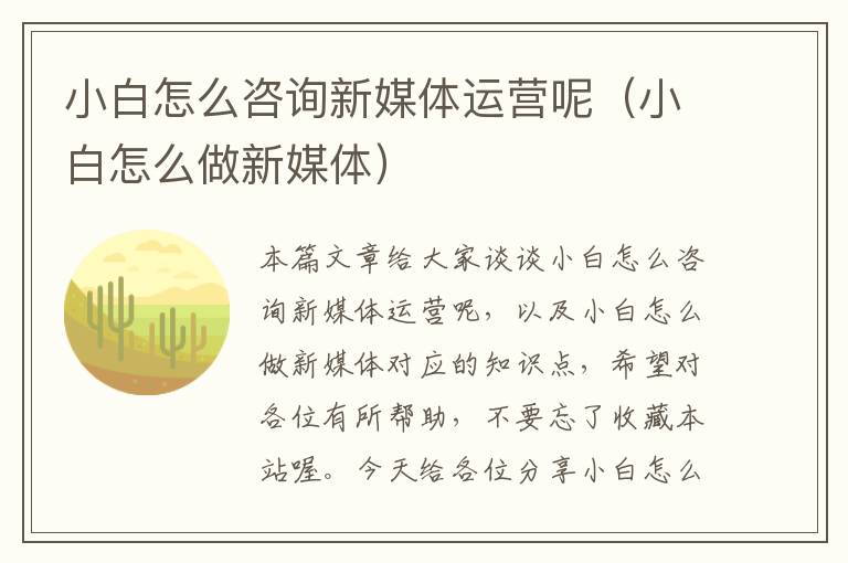 小白怎么咨询新媒体运营呢（小白怎么做新媒体）