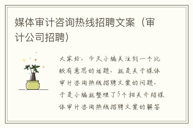 媒体审计咨询热线招聘文案（审计公司招聘）