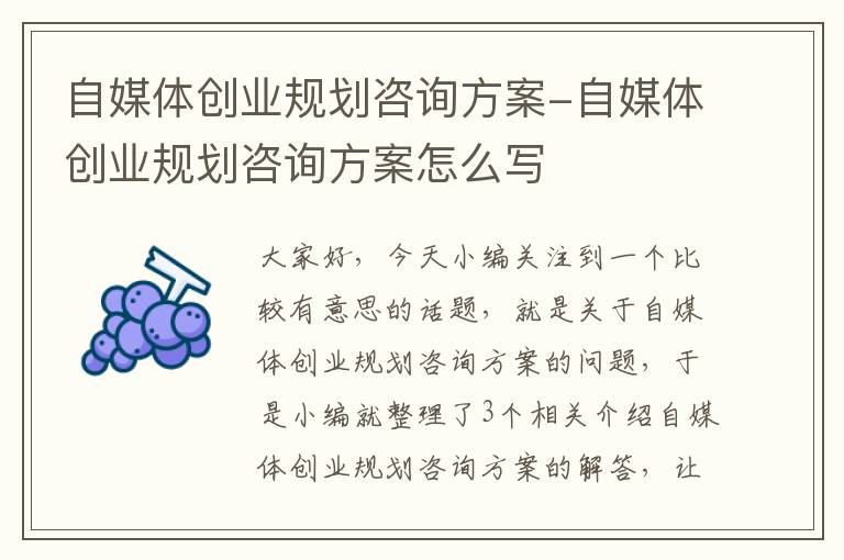 自媒体创业规划咨询方案-自媒体创业规划咨询方案怎么写