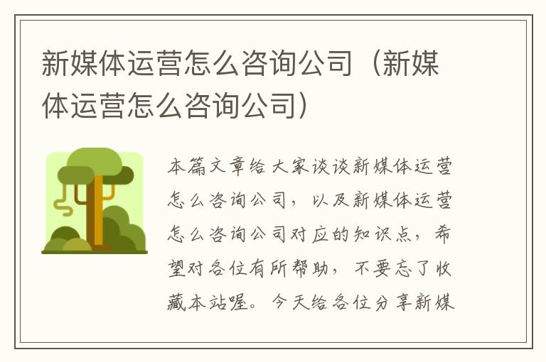 新媒体运营怎么咨询公司（新媒体运营怎么咨询公司）