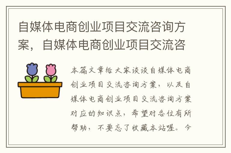 自媒体电商创业项目交流咨询方案，自媒体电商创业项目交流咨询方案