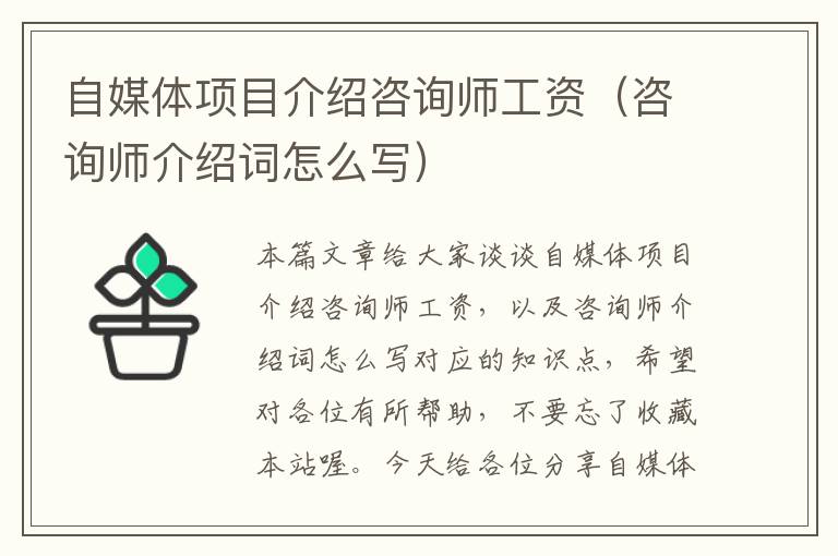 自媒体项目介绍咨询师工资（咨询师介绍词怎么写）