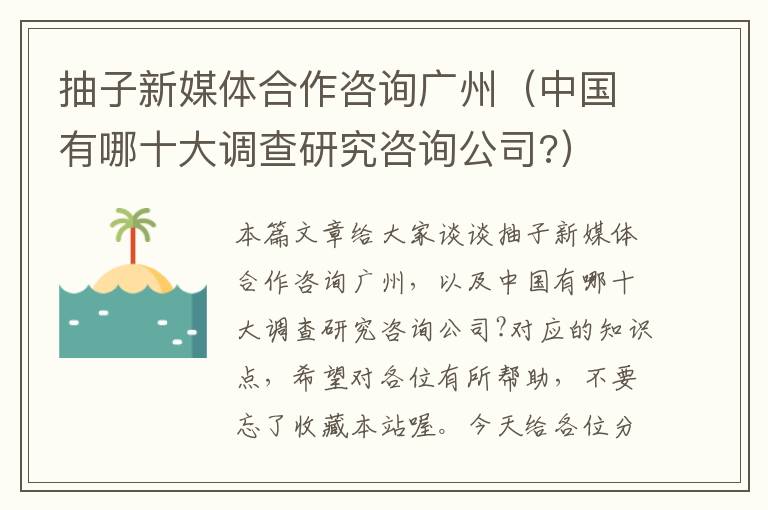 抽子新媒体合作咨询广州（中国有哪十大调查研究咨询公司?）