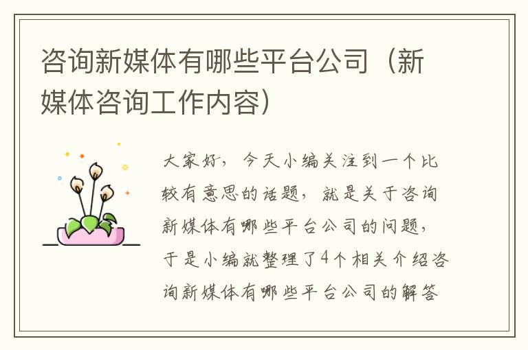 咨询新媒体有哪些平台公司（新媒体咨询工作内容）