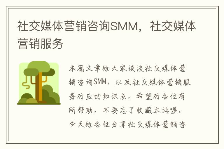 社交媒体营销咨询SMM，社交媒体营销服务