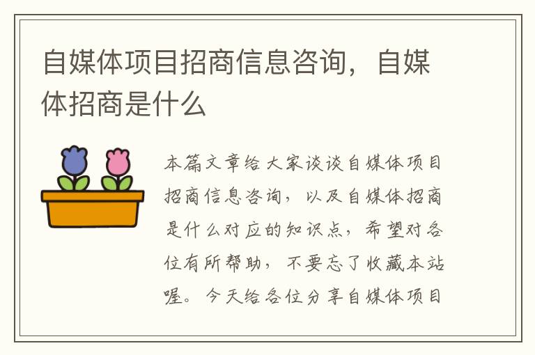 自媒体项目招商信息咨询，自媒体招商是什么