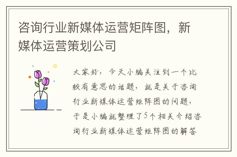 咨询行业新媒体运营矩阵图，新媒体运营策划公司