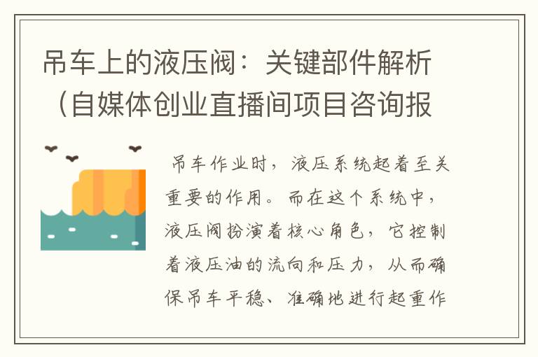 吊车上的液压阀：关键部件解析（自媒体创业直播间项目咨询报告）