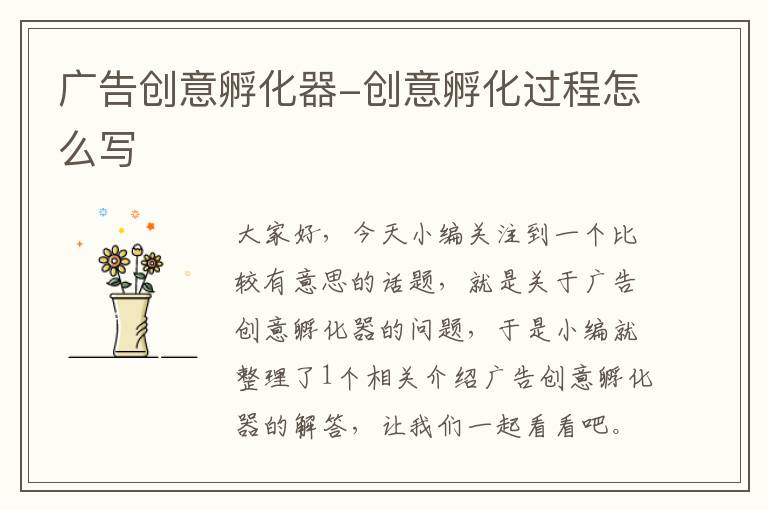 广告创意孵化器-创意孵化过程怎么写