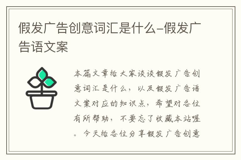 假发广告创意词汇是什么-假发广告语文案