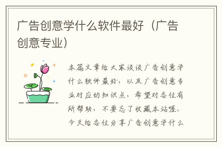 广告创意学什么软件最好（广告创意专业）