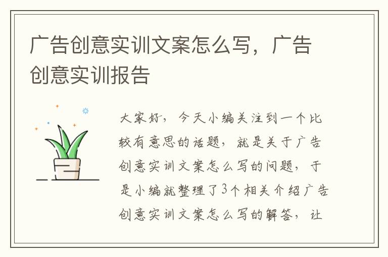 广告创意实训文案怎么写，广告创意实训报告