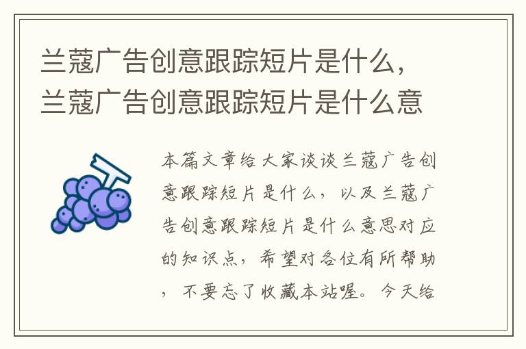 兰蔻广告创意跟踪短片是什么，兰蔻广告创意跟踪短片是什么意思