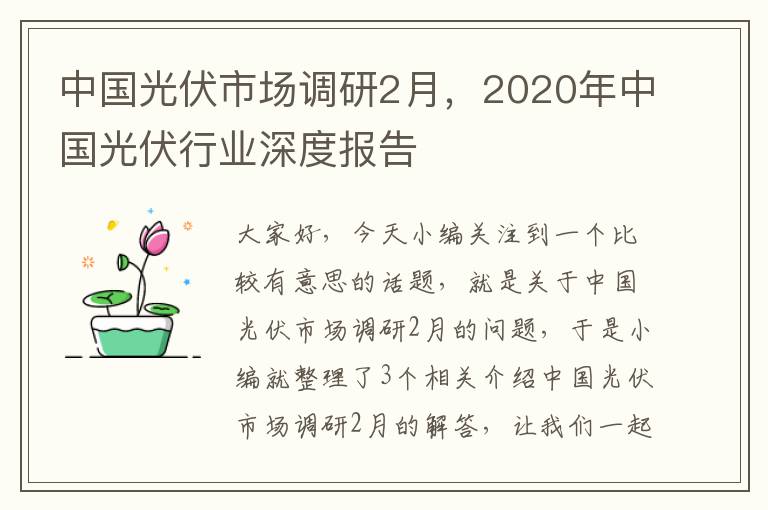 中国光伏市场调研2月，2020年中国光伏行业深度报告