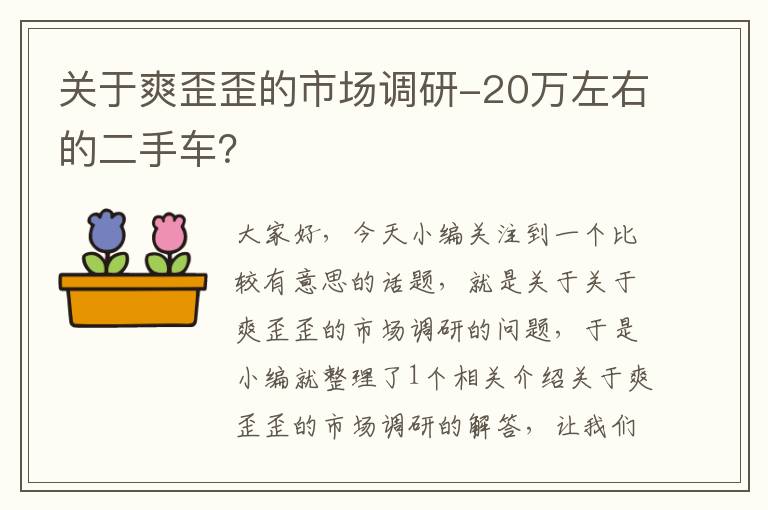 关于爽歪歪的市场调研-20万左右的二手车？