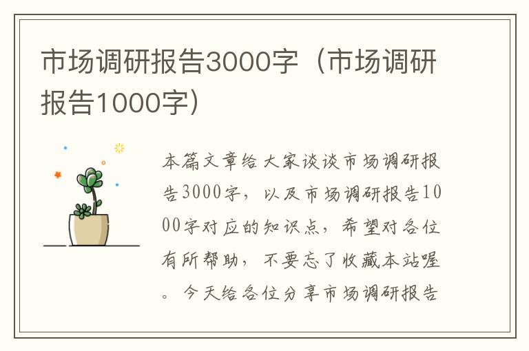 市场调研报告3000字（市场调研报告1000字）