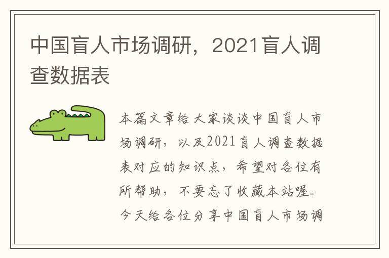 中国盲人市场调研，2021盲人调查数据表