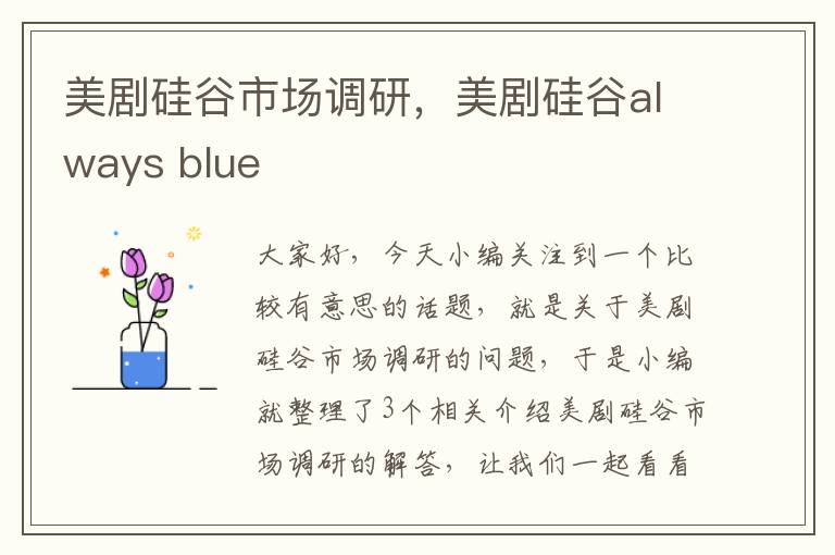 美剧硅谷市场调研，美剧硅谷always blue