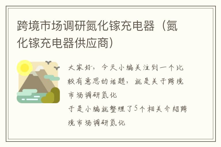 跨境市场调研氮化镓充电器（氮化镓充电器供应商）