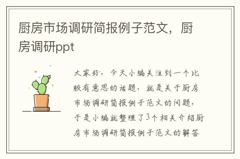 厨房市场调研简报例子范文，厨房调研ppt