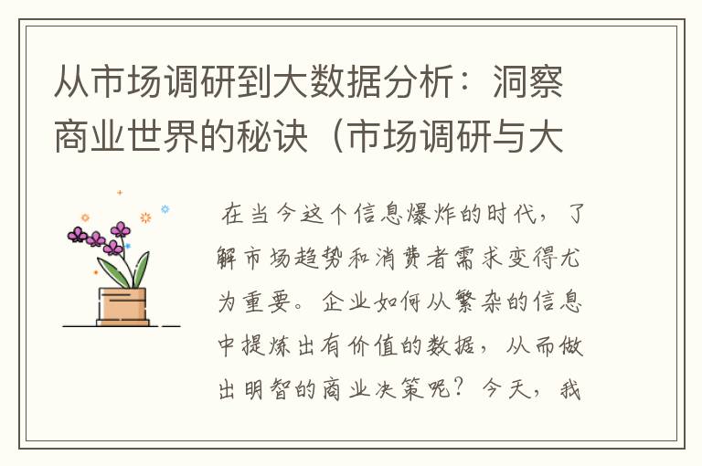 从市场调研到大数据分析：洞察商业世界的秘诀（市场调研与大数据分析）