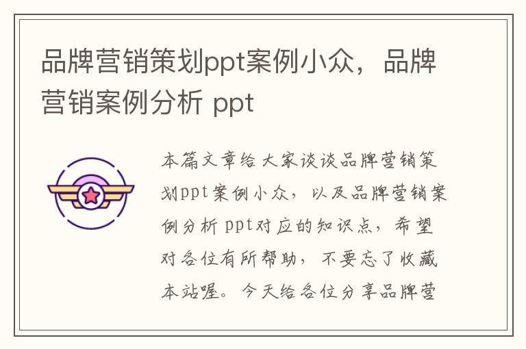 品牌营销策划ppt案例小众，品牌营销案例分析 ppt