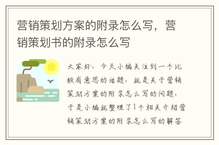 营销策划方案的附录怎么写，营销策划书的附录怎么写