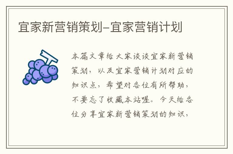 宜家新营销策划-宜家营销计划