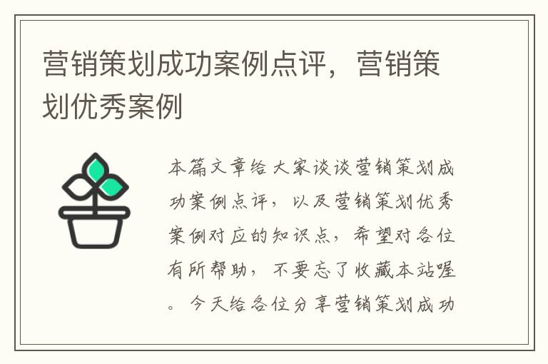 营销策划成功案例点评，营销策划优秀案例