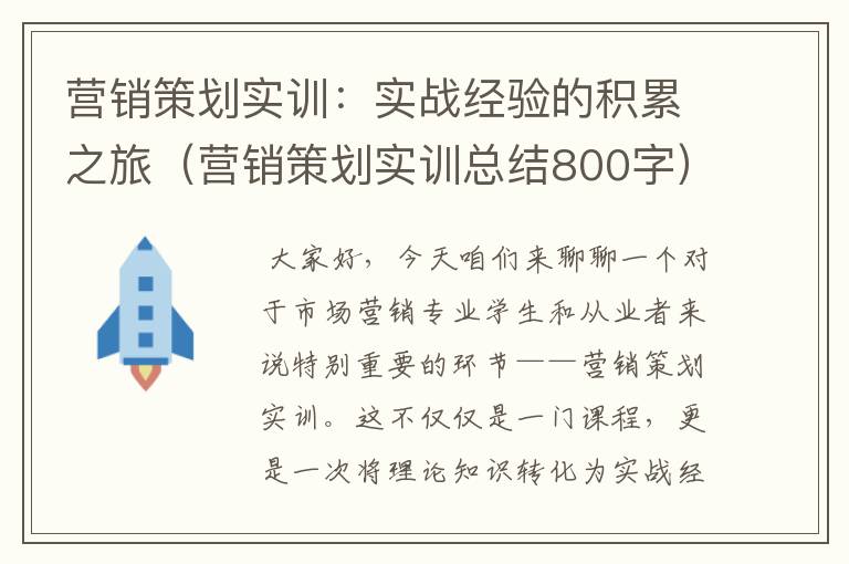 营销策划实训：实战经验的积累之旅（营销策划实训总结800字）