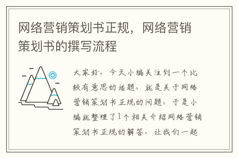 网络营销策划书正规，网络营销策划书的撰写流程