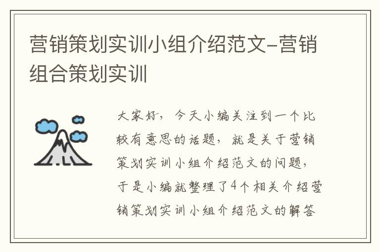 营销策划实训小组介绍范文-营销组合策划实训