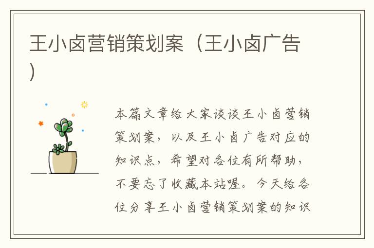 王小卤营销策划案（王小卤广告）