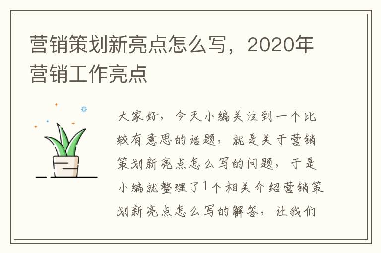 营销策划新亮点怎么写，2020年营销工作亮点