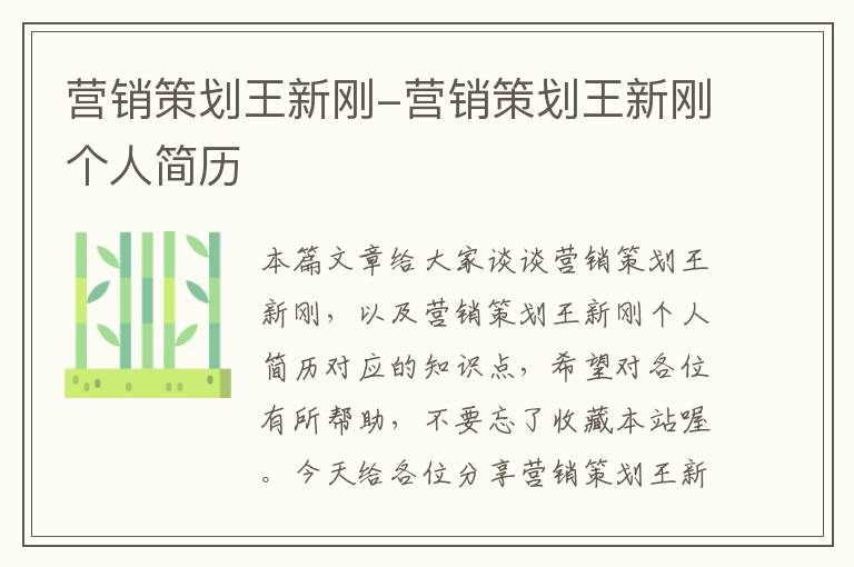 营销策划王新刚-营销策划王新刚个人简历