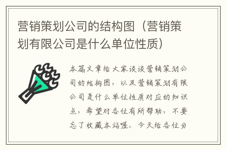 营销策划公司的结构图（营销策划有限公司是什么单位性质）