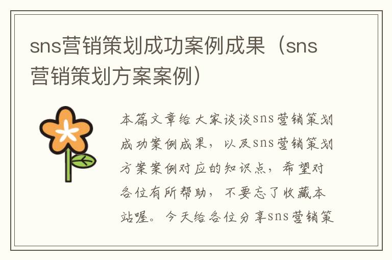 sns营销策划成功案例成果（sns营销策划方案案例）