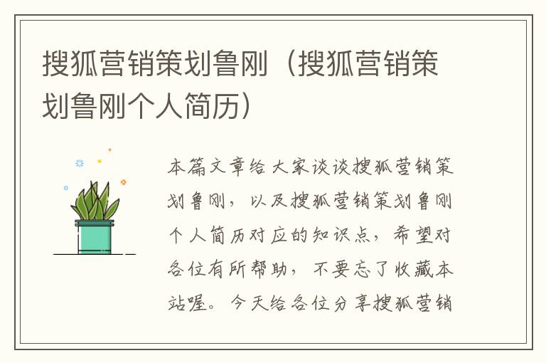 搜狐营销策划鲁刚（搜狐营销策划鲁刚个人简历）