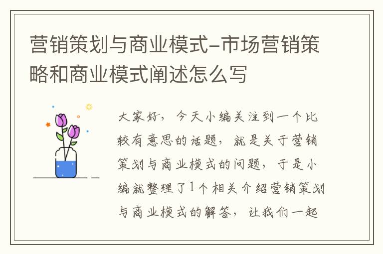 营销策划与商业模式-市场营销策略和商业模式阐述怎么写