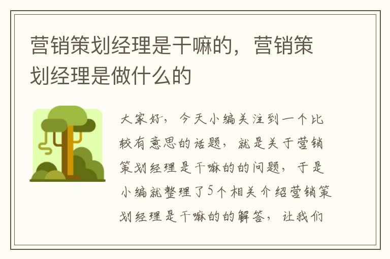 营销策划经理是干嘛的，营销策划经理是做什么的