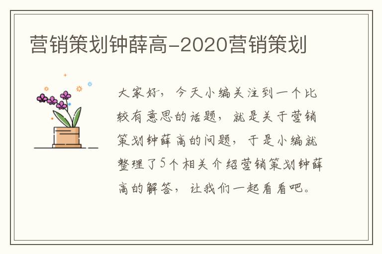 营销策划钟薛高-2020营销策划