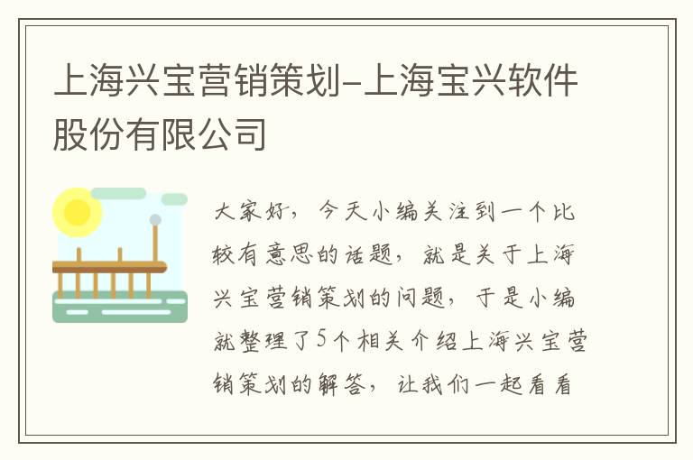 上海兴宝营销策划-上海宝兴软件股份有限公司