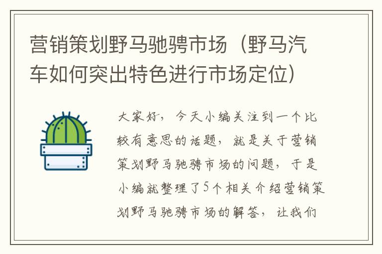 营销策划野马驰骋市场（野马汽车如何突出特色进行市场定位）