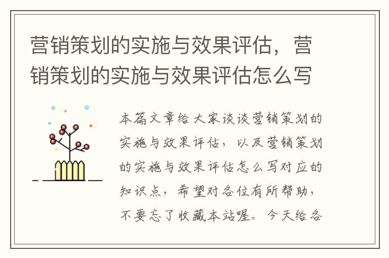 营销策划的实施与效果评估，营销策划的实施与效果评估怎么写