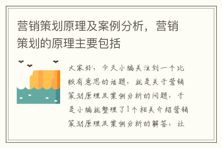 营销策划原理及案例分析，营销策划的原理主要包括