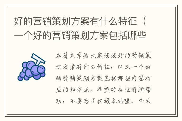 好的营销策划方案有什么特征（一个好的营销策划方案包括哪些内容）