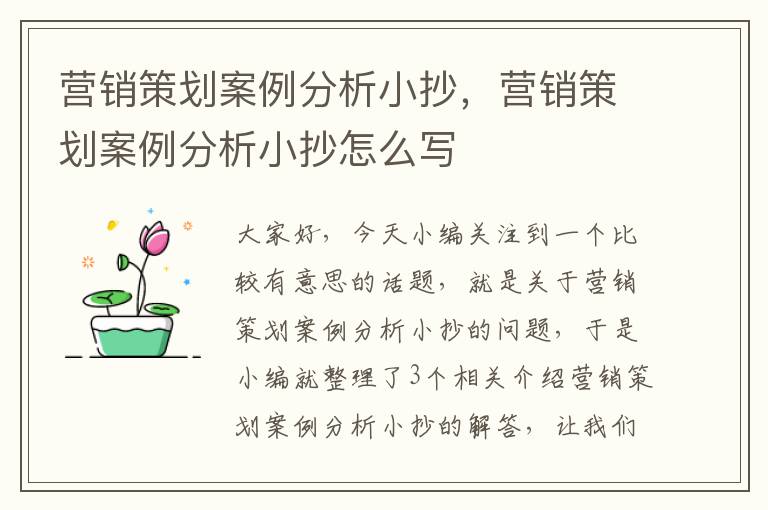 营销策划案例分析小抄，营销策划案例分析小抄怎么写